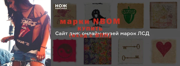 сатива Абаза